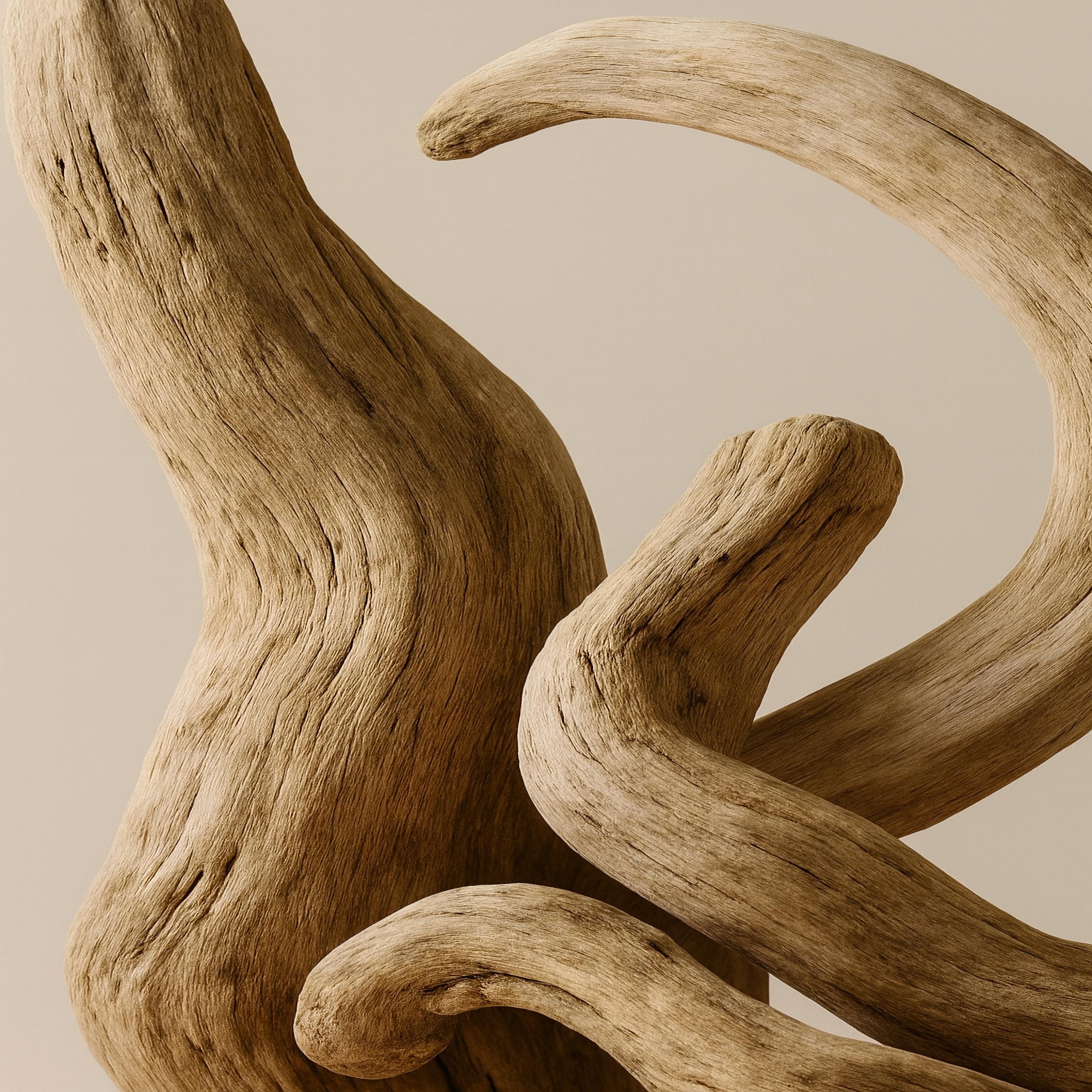 Driftwood Forms — Organic Sculpted Wood Art | Neutral Abstract Wall Art (Digital Download)